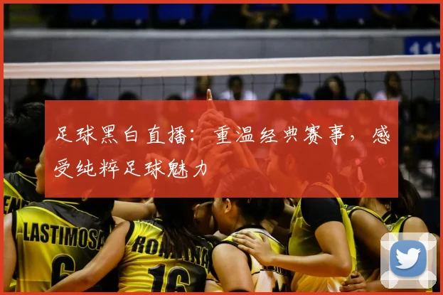 足球黑白直播：重温经典赛事，感受纯粹足球魅力